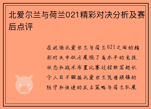 北爱尔兰与荷兰021精彩对决分析及赛后点评